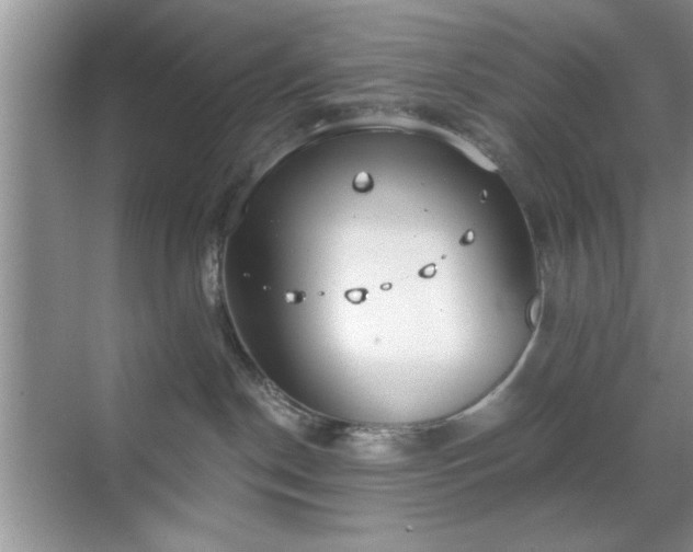 X0000070360190200606121219