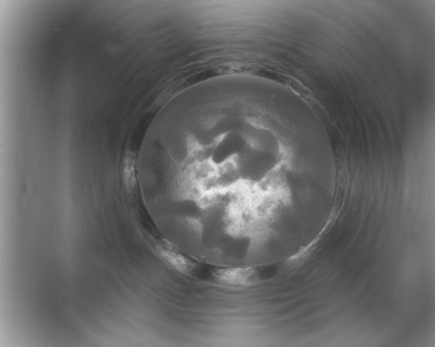 X0000070360191200606121219