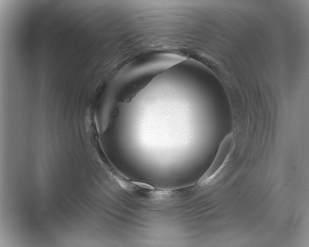 X0000070360192200606121219