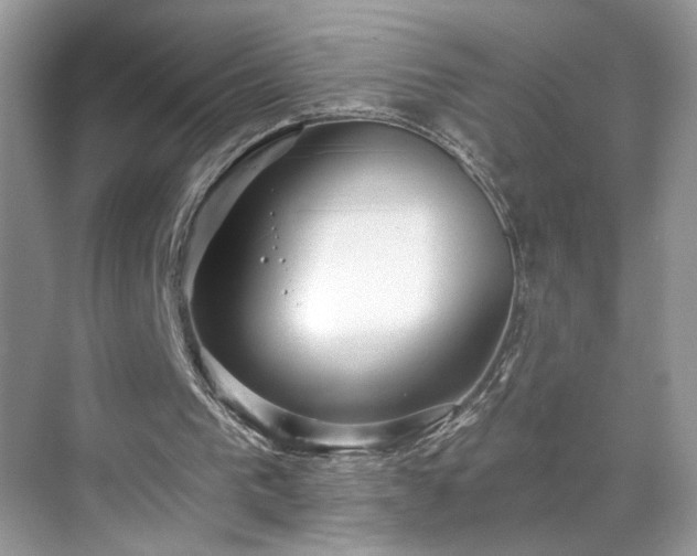 X0000070360193200606121218