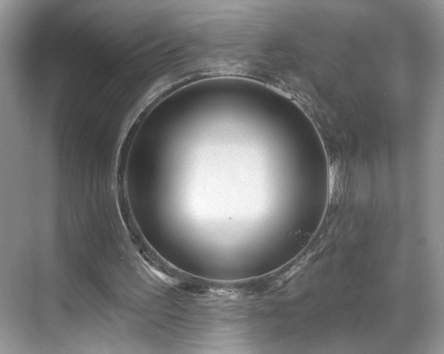 X0000070360195200606121218