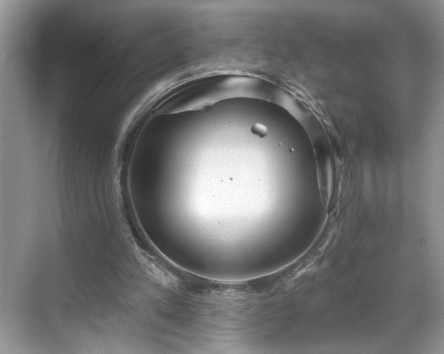 X0000070360197200606121218