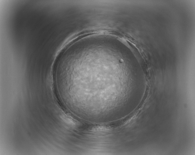 X0000070360198200606121218