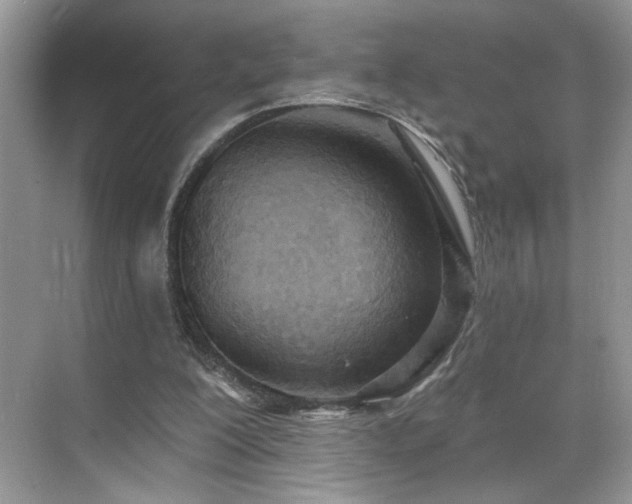 X0000070360200200606121218