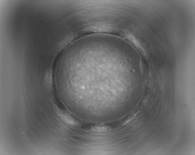 X0000070360202200606121218