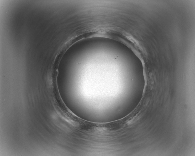 X0000070360203200606121218