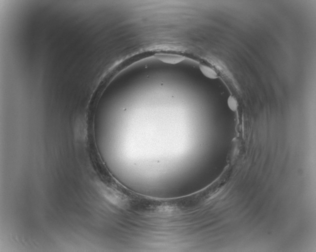 X0000070360204200606121218