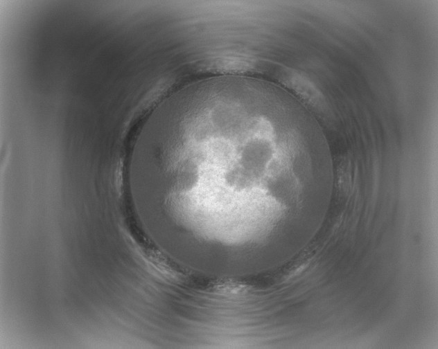 X0000070360206200606121218