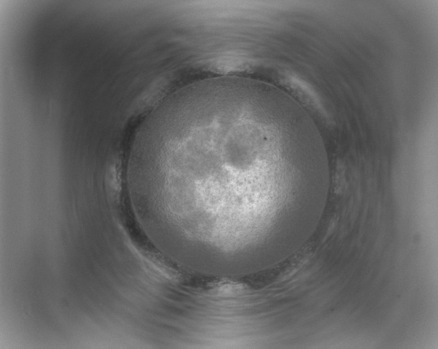 X0000070360210200606121218