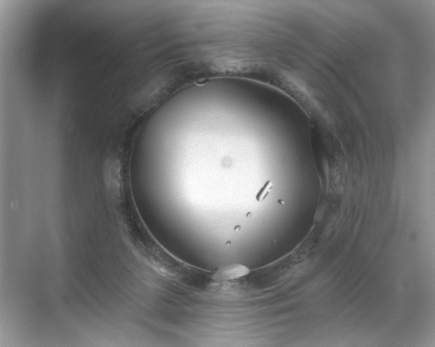 X0000070360211200606121218