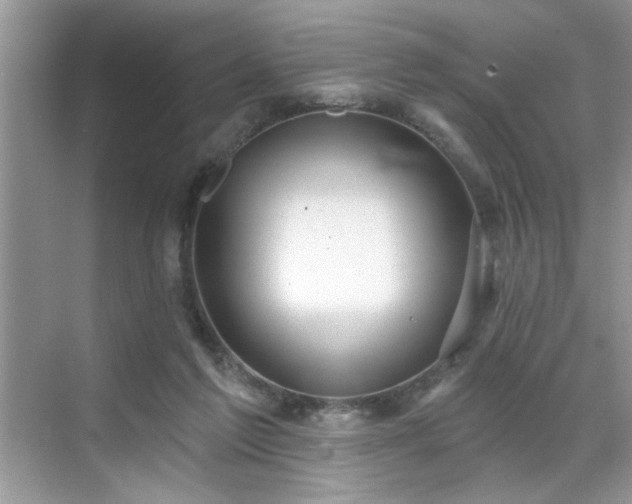 X0000070360213200606121218