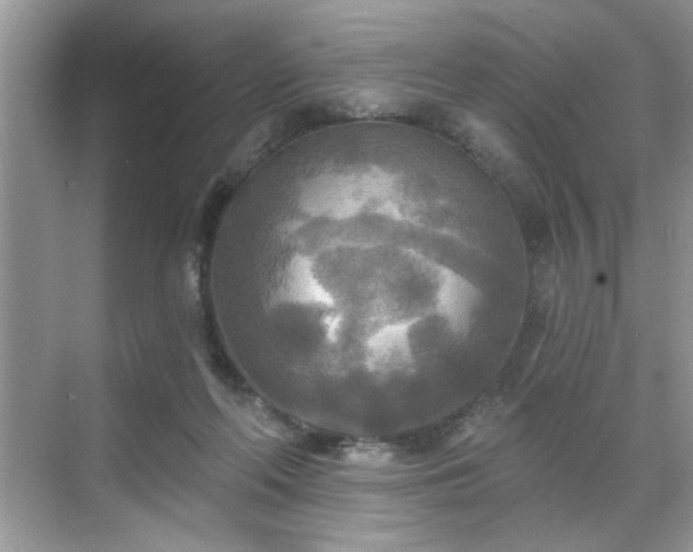 X0000070360214200606121218