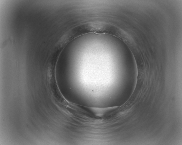 X0000070360215200606121218