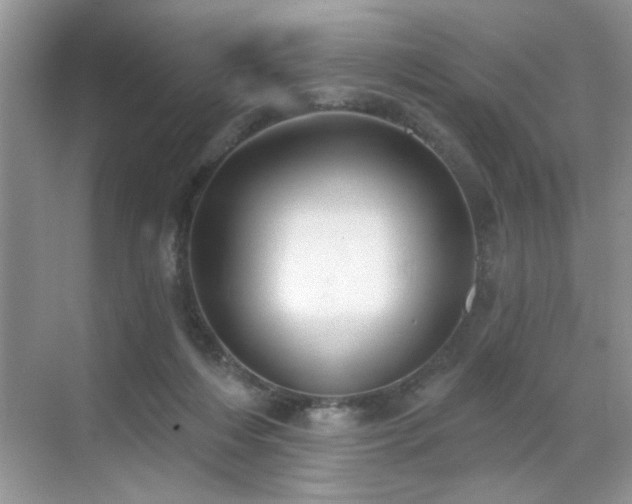 X0000070360216200606121218