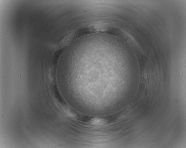 X0000070360218200606121217