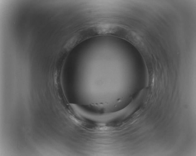 X0000070360219200606121217