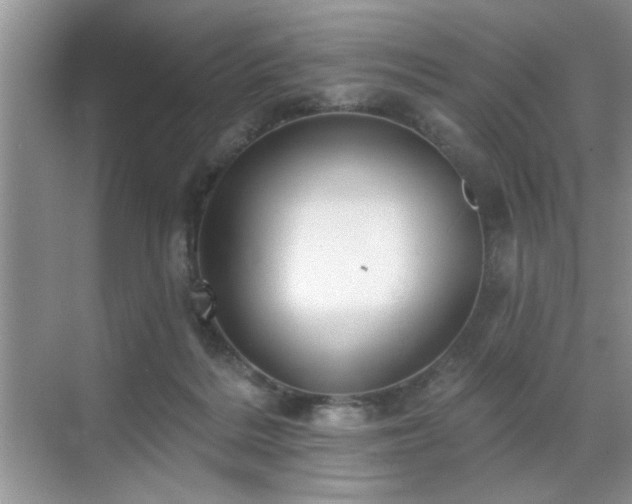 X0000070360220200606121217