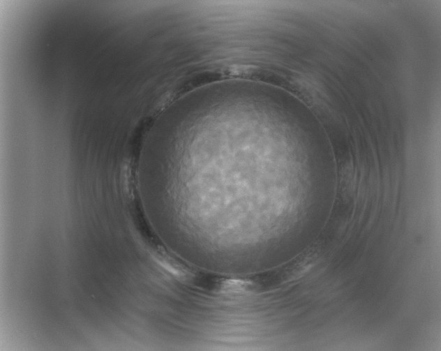 X0000070360222200606121217