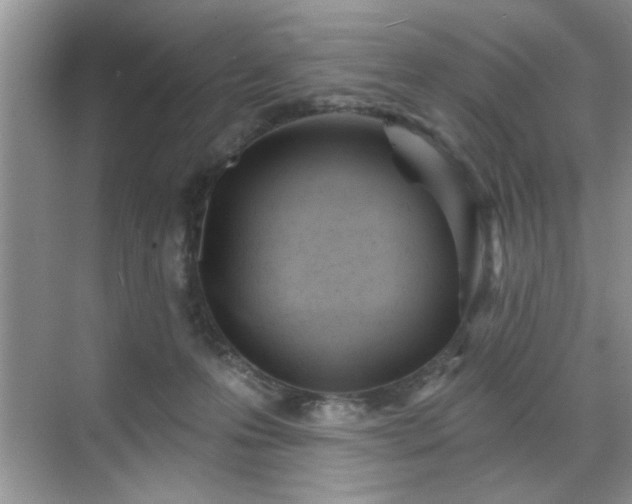 X0000070360223200606121217