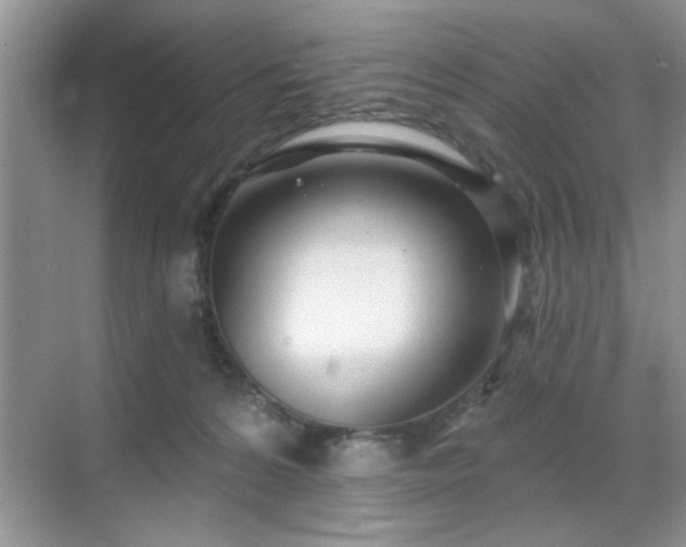 X0000070360224200606121217