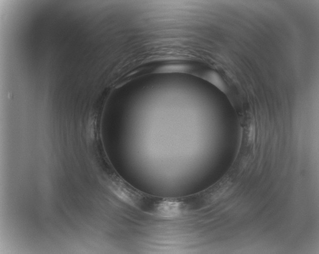 X0000070360227200606121217