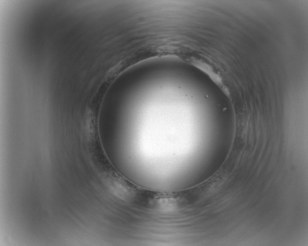 X0000070360228200606121217