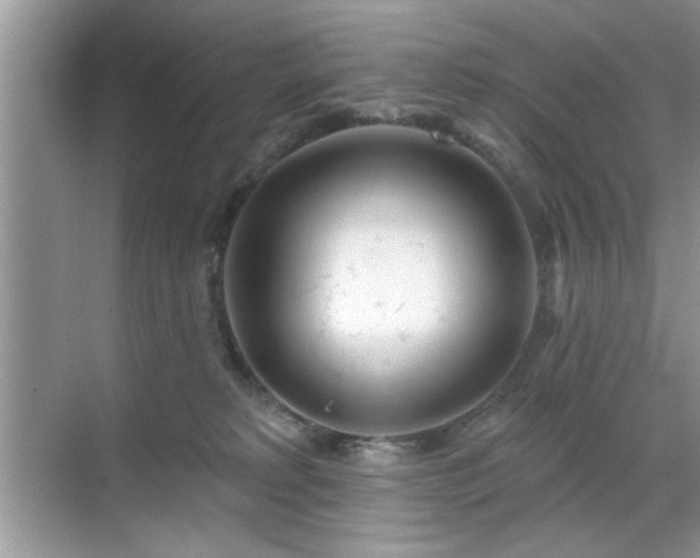 X0000070360229200606121217