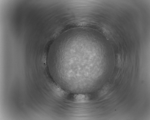 X0000070360230200606121217