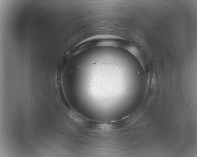 X0000070360233200606121217