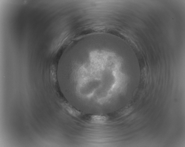 X0000070360234200606121217