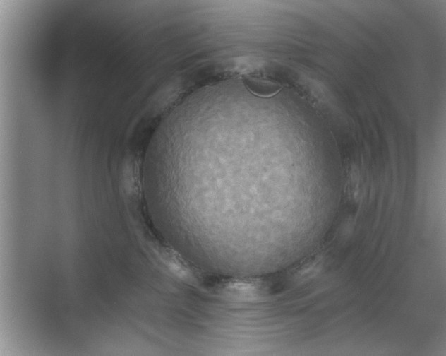 X0000070360236200606121217