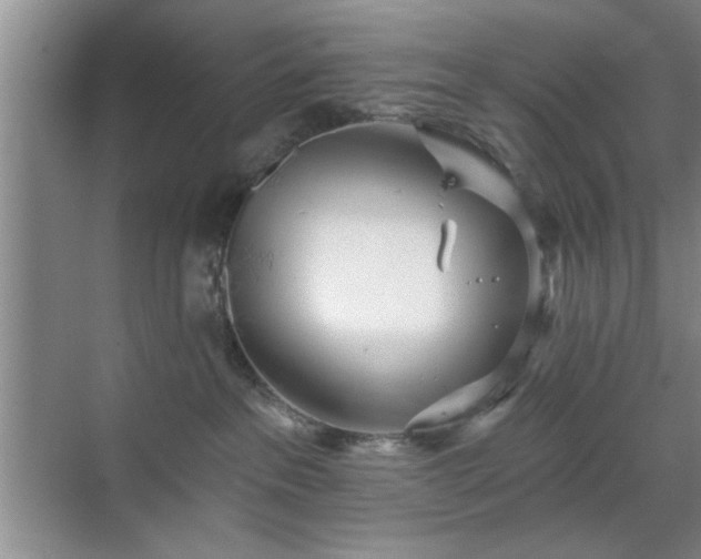 X0000070360237200606121217