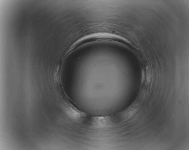 X0000070360239200606121217