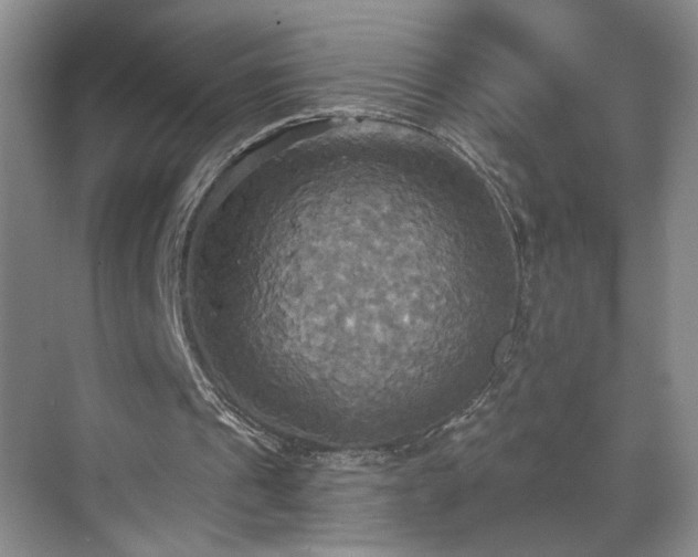 X0000070360241200606121216