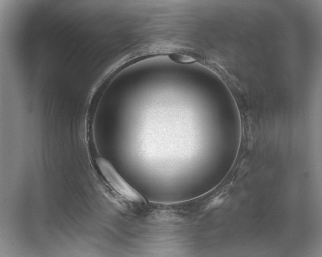 X0000070360244200606121216