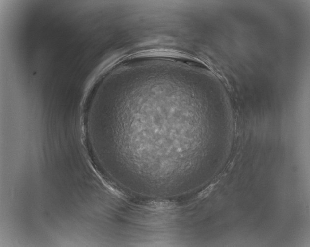 X0000070360245200606121216