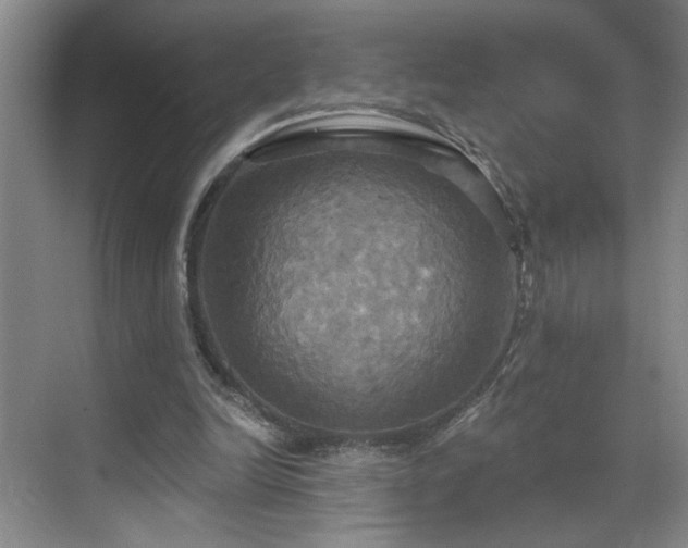 X0000070360246200606121216