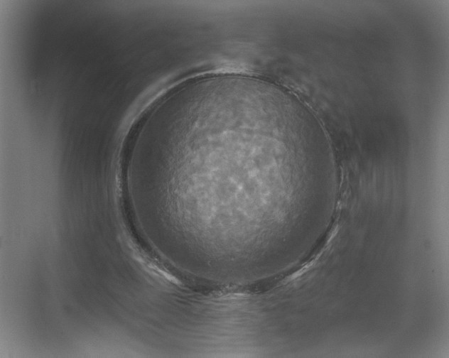 X0000070360247200606121216