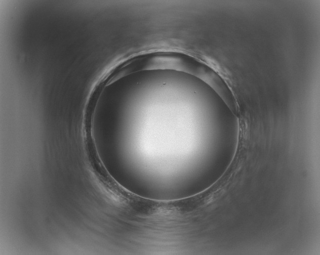 X0000070360248200606121216