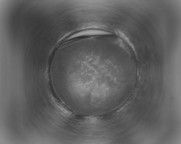 X0000070360249200606121216