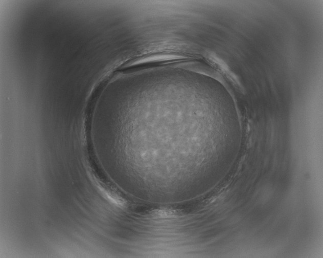 X0000070360250200606121216