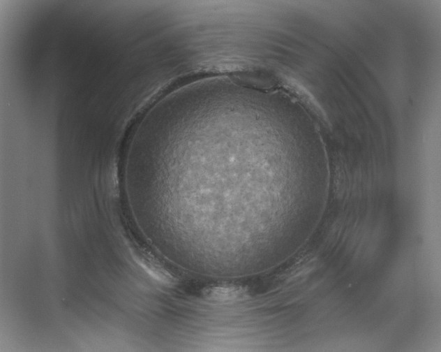 X0000070360251200606121216