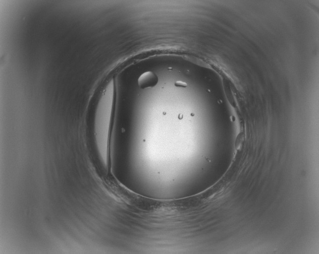 X0000070360252200606121216