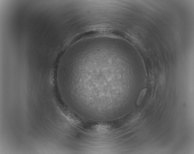 X0000070360255200606121217