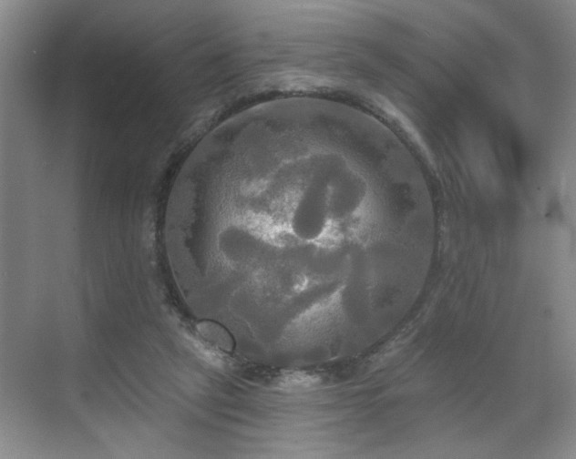 X0000070360257200606121217