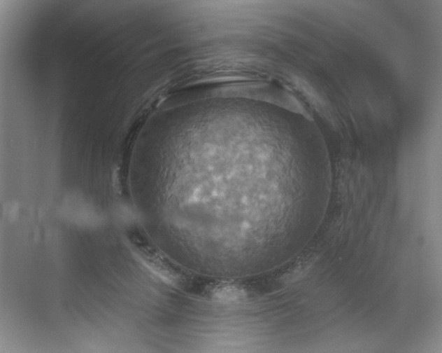 X0000070360258200606121217