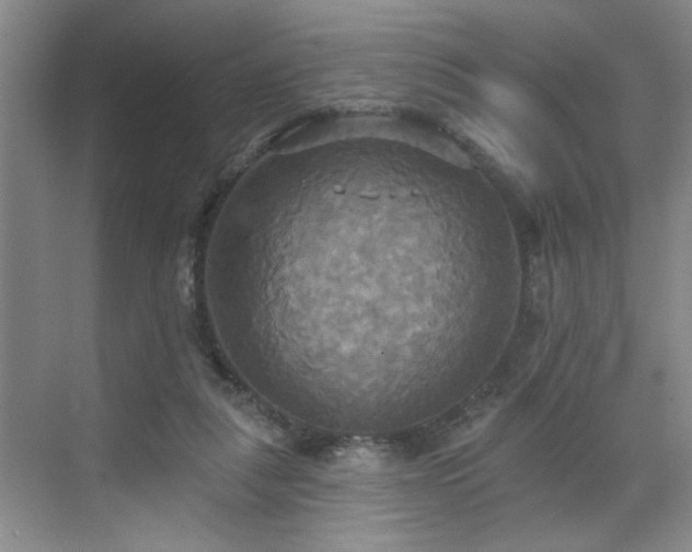 X0000070360259200606121217