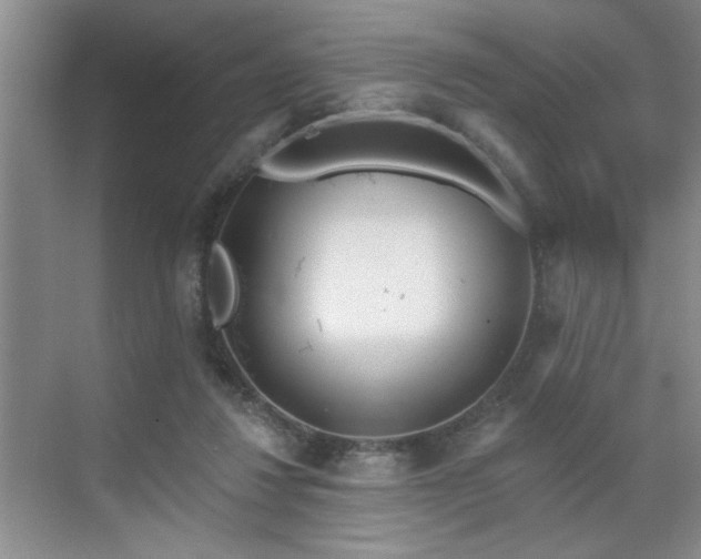 X0000070360260200606121217