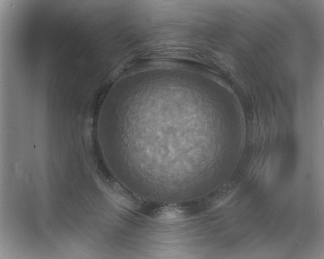 X0000070360263200606121217