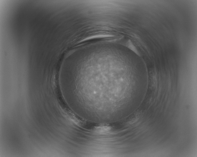 X0000070360266200606121217